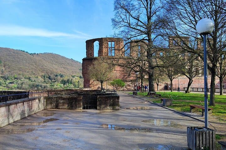 Heidelberg Castle & Romantic Town: Private Castle and Old Town Walking Tour photo 5