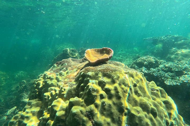Phu Quoc Snorkeling & Island-Hopping Speedboat Tour with Lunch photo 4