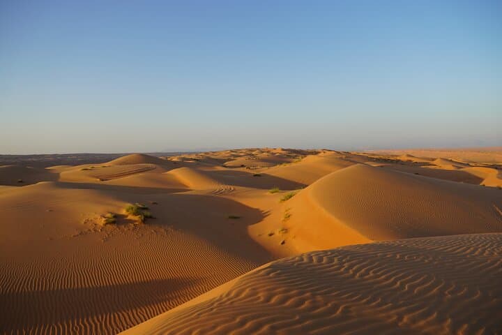 Sunset in Wahiba Sands: 4x4 Dune Bashing, Camels & Desert Dinner photo 3