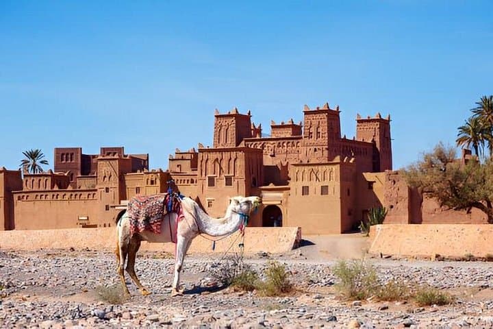Ait Benhaddou & Ouarzazate Day Trip from Marrakech via Tizi n'Tichka Pass photo 4
