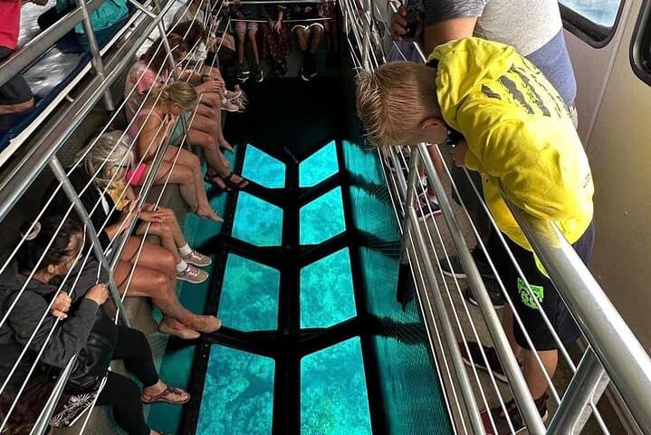 Key Largo Coral Reef Park and Sunset Celebration: Full-Day Tour to John Pennekamp, Robbie's & Gilbert's photo 3
