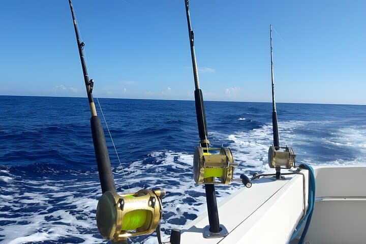 Half-Day Deep-Sea Fishing from Sosua: Marlin, Mahi and Offshore Action photo 4