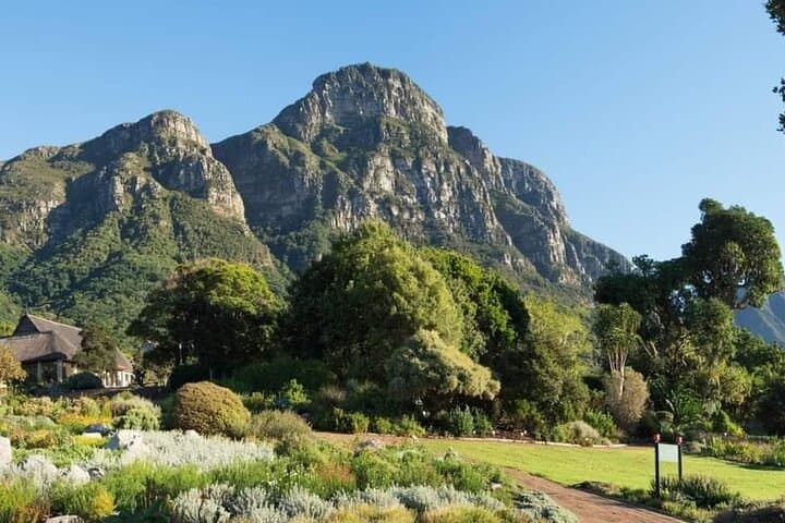 Kirstenbosch Gardens and Constantia Wine Tasting: A Full-Day Cape Town Nature and Wine Tour