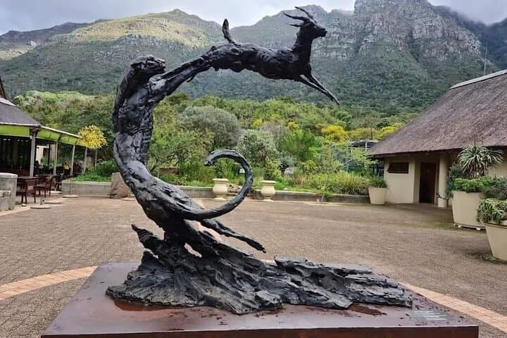 Kirstenbosch Gardens and Constantia Wine Tasting: A Full-Day Cape Town Nature and Wine Tour photo 2