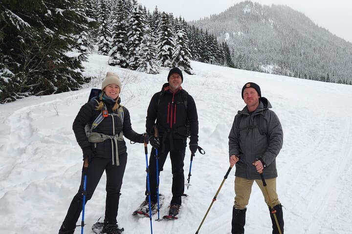 Snowshoeing at Crystal Mountain: Winter Day Trip from Seattle with Gondola Views photo 6
