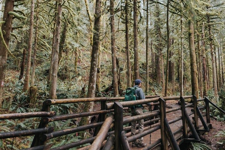 Wallace Falls Waterfall Wonderland Hike from Seattle photo 5