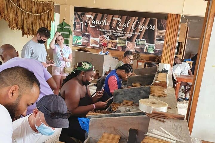 Half-Day Punta Cana Safari: Higüey, Sugar Cane Roads & El Macao Beach photo 4