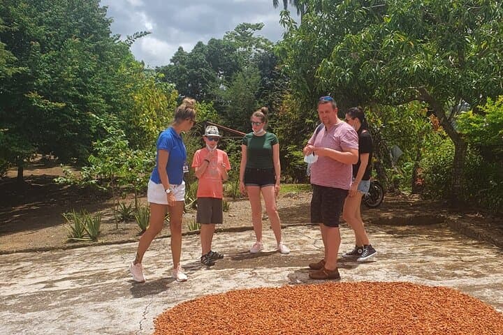 Half-Day Punta Cana Safari: Higüey, Sugar Cane Roads & El Macao Beach photo 5