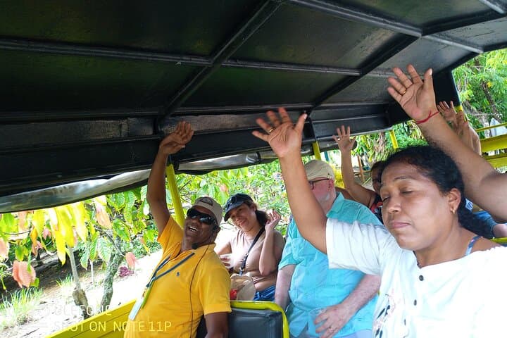 Half-Day Punta Cana Safari: Higüey, Sugar Cane Roads & El Macao Beach photo 6