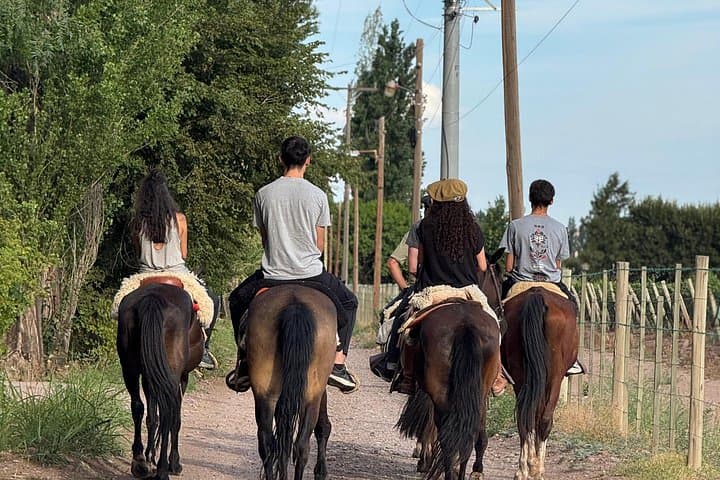 Gaucho Trails: Horseback Riding and Ranch Stay in Mendoza’s Luján de Cuyo photo 4