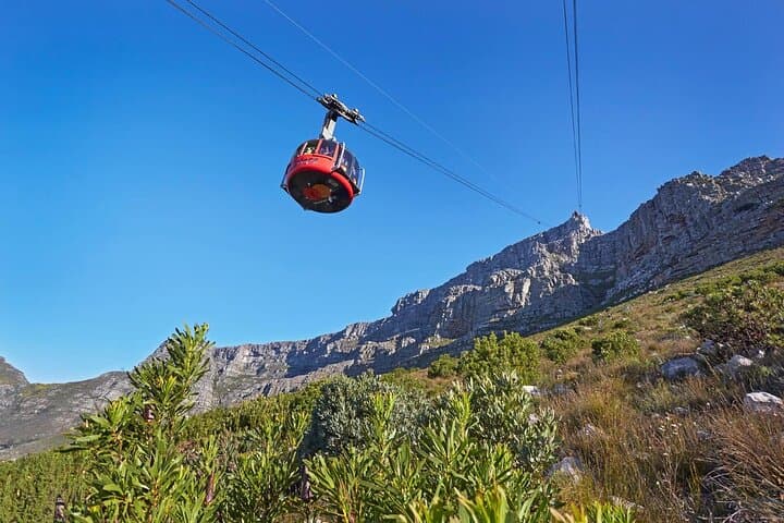Cape Town Highlights: Table Mountain, Chapman's Peak, Boulders Penguins & Groot Constantia Wine photo 4