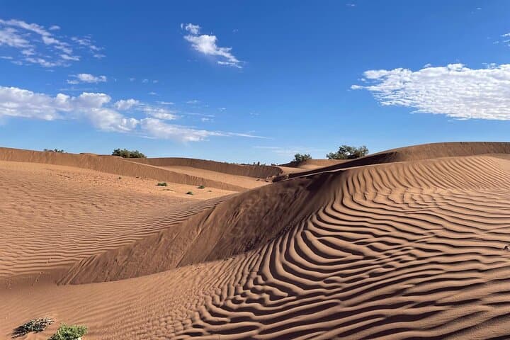 2-Day Sahara Trek from M'Hamid: In the Footsteps of Beetles