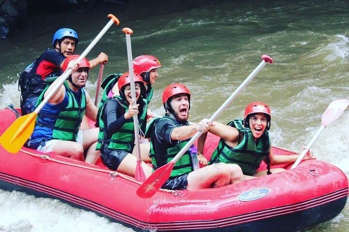 Ayung River Rafting from Ubud: 28 Rapids, Waterfall Views & Buffet Lunch