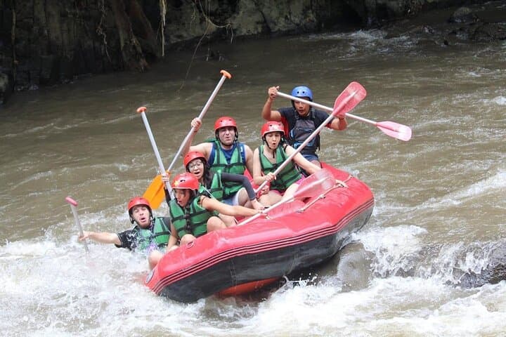 Ayung River Rafting from Ubud: 28 Rapids, Waterfall Views & Buffet Lunch photo 3