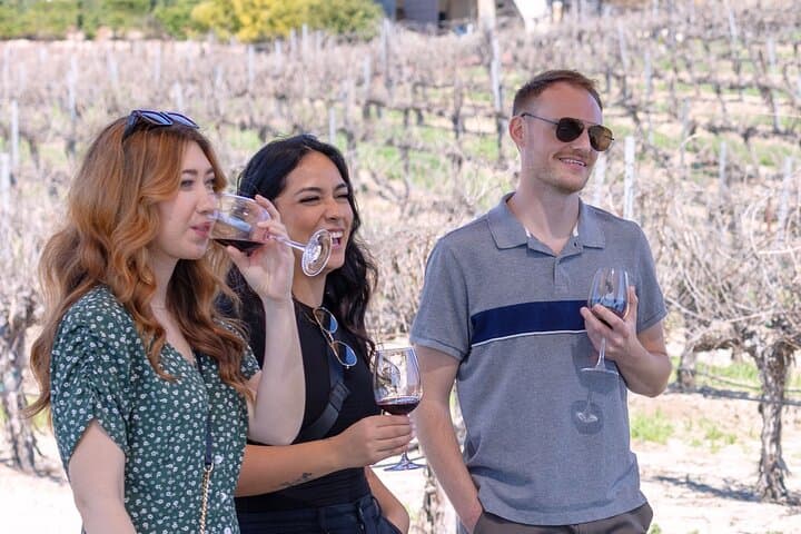 Private Temecula Valley Wine Tasting — 4-Hour Vineyard Experience photo 6