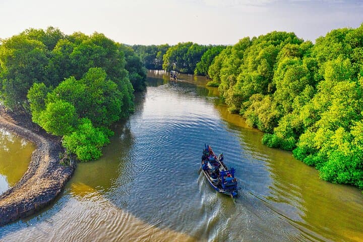 Amazon Jungle Day Tour from Iquitos: All-Inclusive Wildlife & River Cruise photo 3