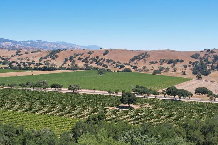 Private Santa Ynez Valley 3-Winery Tour from Santa Barbara — All-Inclusive Wine Country Day photo 6