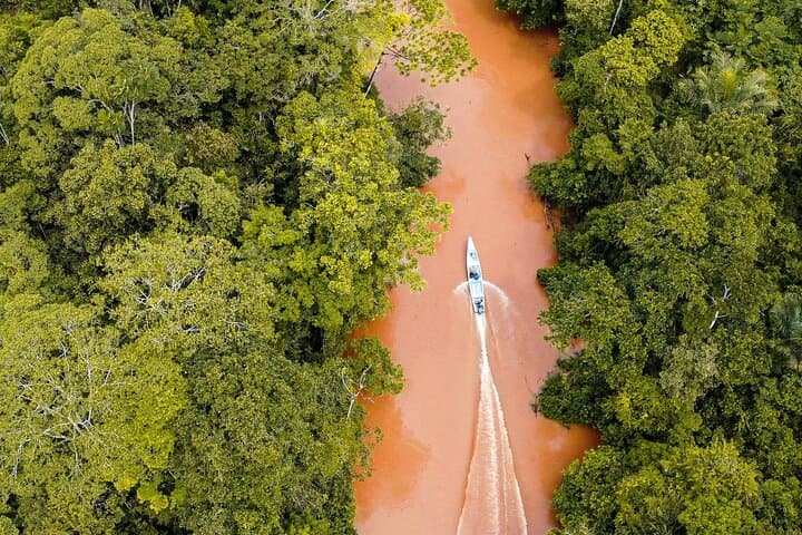 4-Day Guided Jungle Tour from Iquitos: Canoes, Canopy Views & Indigenous Culture photo 5