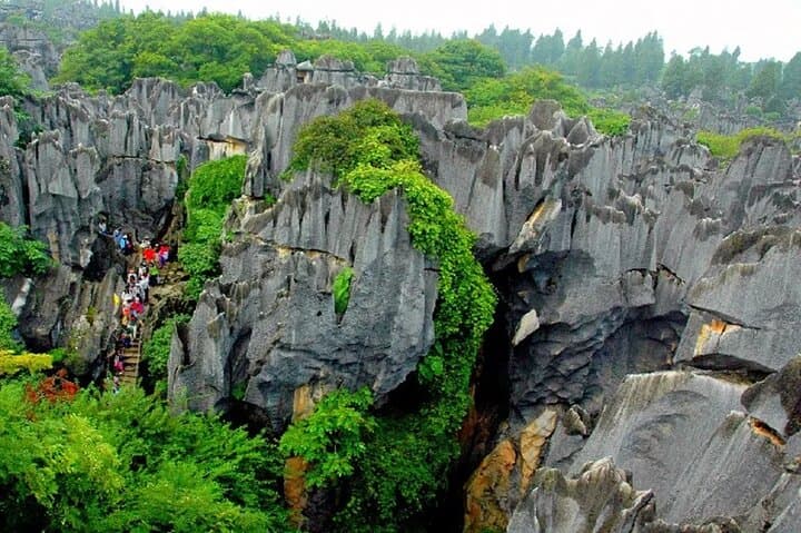 Stone Forest & Yiliang Roast Duck: Private Day Tour from Kunming