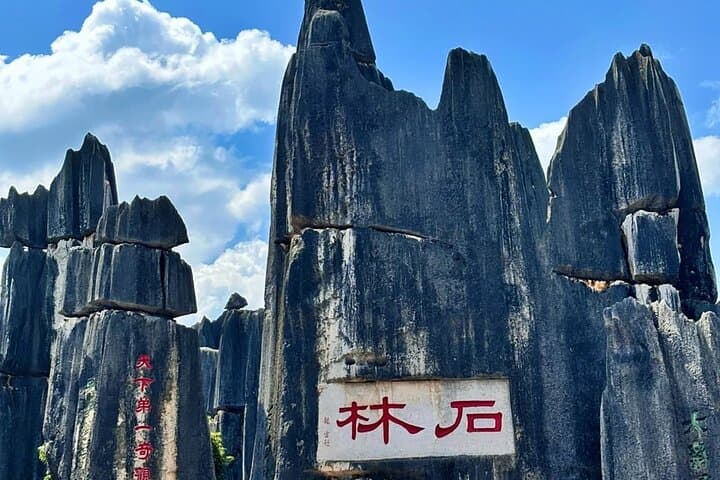 Stone Forest & Yiliang Roast Duck: Private Day Tour from Kunming photo 3