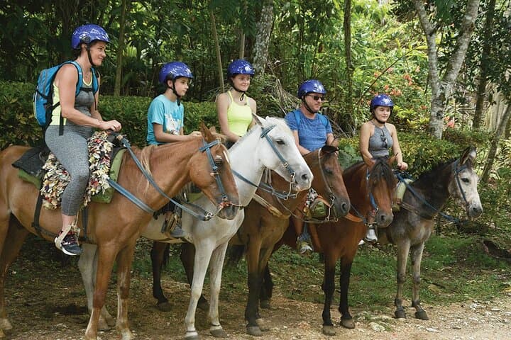Samana El Limón Waterfall & Cayo Levantado Day Trip from Punta Cana photo 4