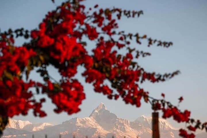 Dhampus & Astam Day Hike from Pokhara — Annapurna Views and Gurung Village Walk photo 3