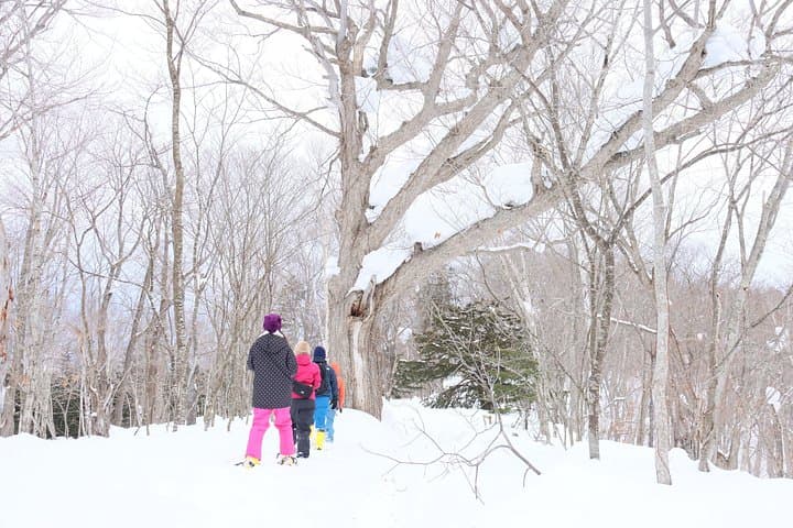 Snowshoe Tour to Half Moon Lake, Niseko — Winter Walks beneath Mt. Yotei photo 2