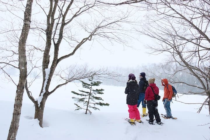 Snowshoe Tour to Half Moon Lake, Niseko — Winter Walks beneath Mt. Yotei photo 3