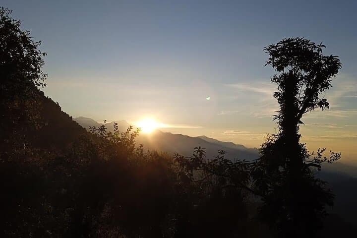 Mardi Himal Trek: 6-Day Annapurna Ridge Hike from Pokhara photo 6