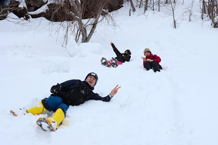 Snowshoe Tour to Half Moon Lake, Niseko — Winter Walks beneath Mt. Yotei photo 4