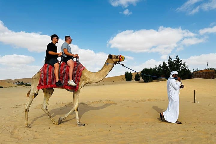 Desert Camel Trekking in Abu Dhabi: Private 50-Minute Ride & Bedouin Camp Visit