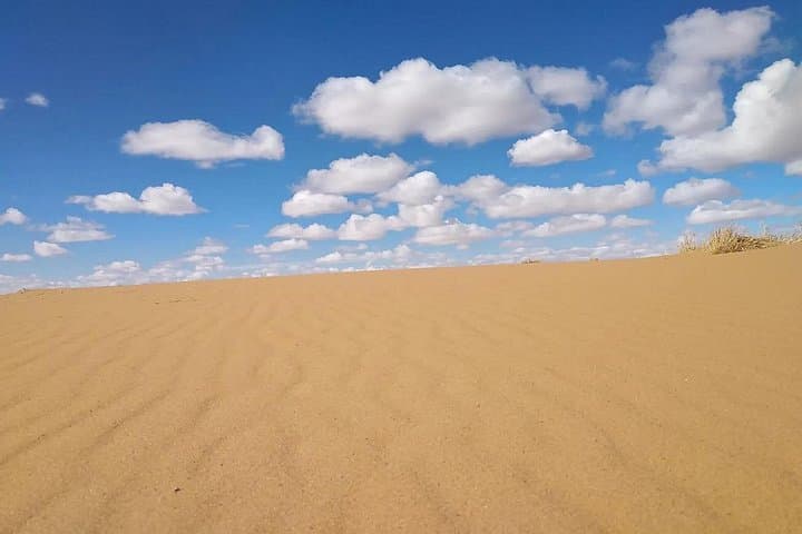 Morning Desert Safari Dubai — Big Red Dunes Dune Bashing, Sandboarding & Camel Ride photo 4