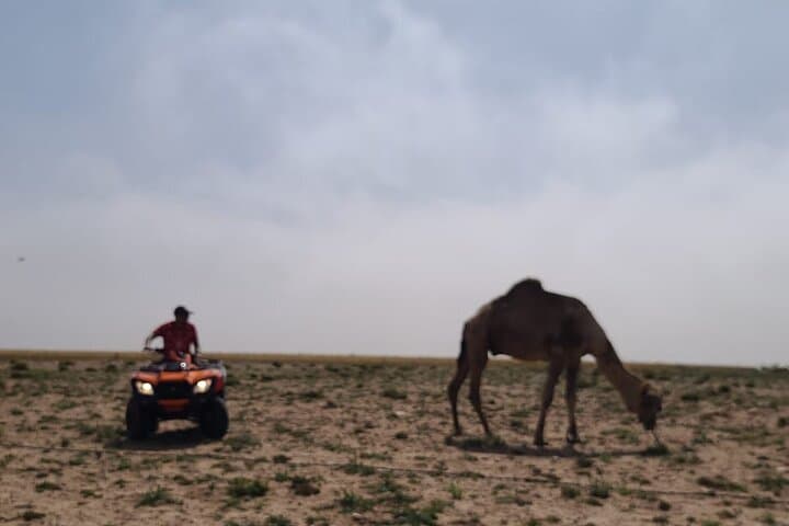 Agadir Dunes Buggy Adventure: Drive Berber Countryside to Tifnit Beach photo 6