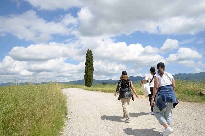 Hike and Wine in Mugello: Active Walks Through Tuscan Vineyards