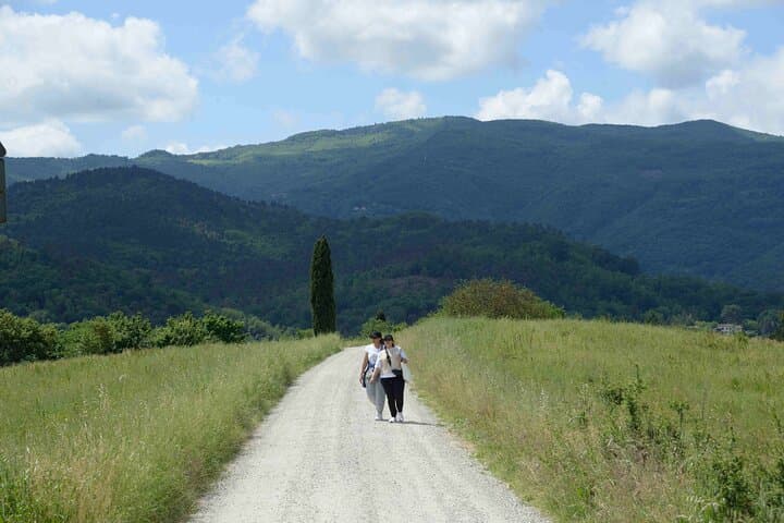 Hike and Wine in Mugello: Active Walks Through Tuscan Vineyards photo 6