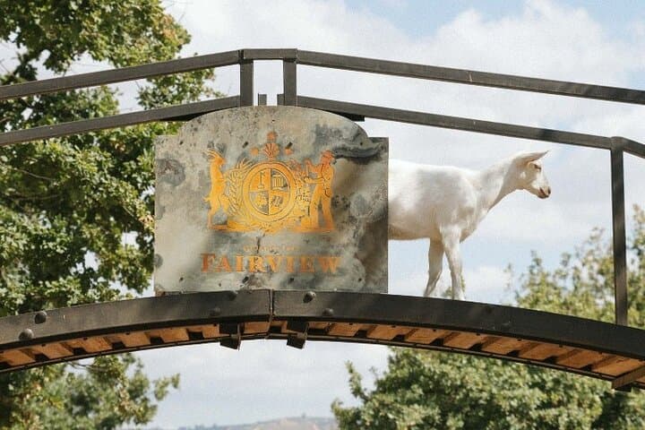 Full-Day Cape Winelands Tour: Tastings at Delaire Graff, Tokara & Fairview photo 2