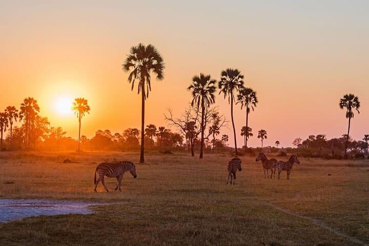 Cape Town to Aquila Sunset Safari: All-Inclusive Big Five Game Drive photo 2