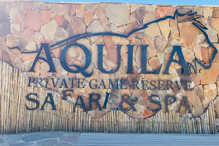 Aquila Game Reserve Sunset Safari: Spot the Big Five Near Cape Town photo 4