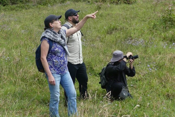 Cloud Forest Hike 30 Minutes From San José: Cerro Dantas Slow-Hiking for Birds & Sloths photo 5