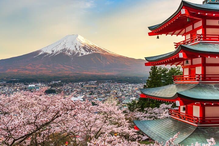 Custom Private Mt Fuji Day Tour with English-Speaking Driver from Tokyo photo 5