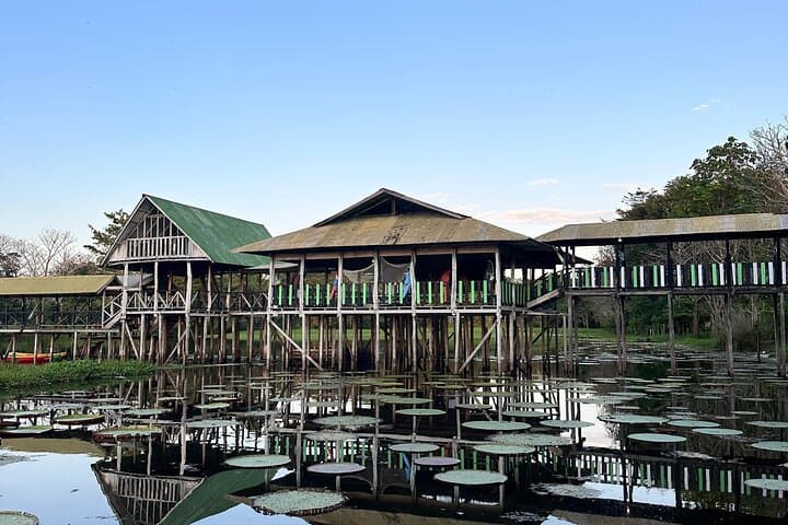 5-Day Amazon Immersion from Leticia — Treehouses, River Dolphins & Indigenous Culture photo 3