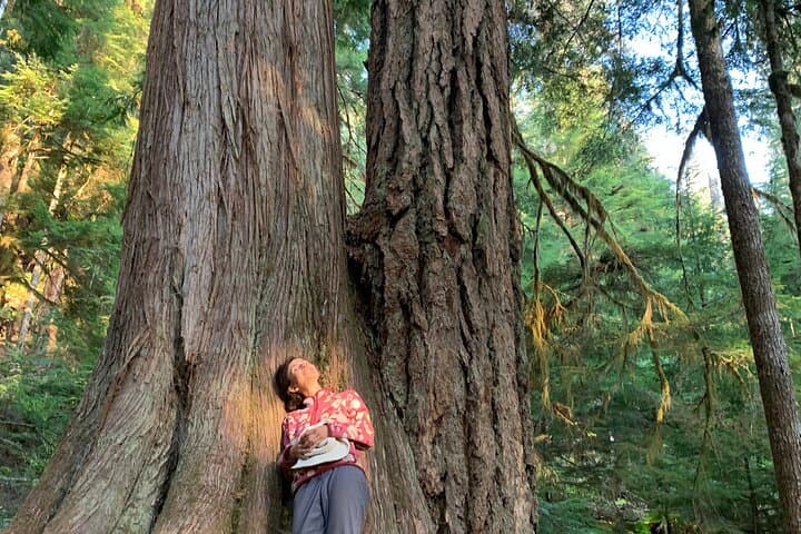 Guided Hikes at Mt. Rainier: Paradise Day Tour from Seattle photo 6