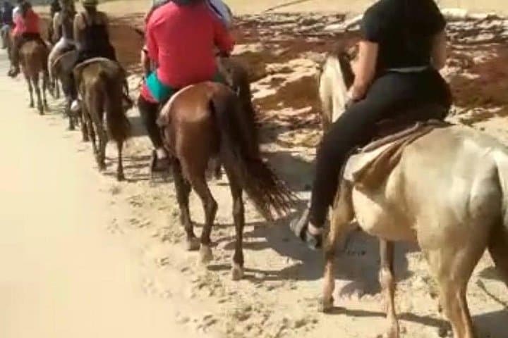 Double the Thrill: Buggies and Horses in Punta Cana photo 6
