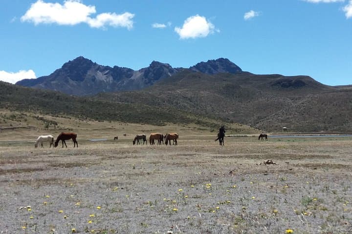 Cotopaxi and Quilotoa One-Day Tour — Cotopaxi Volcano & Quilotoa Lagoon Adventure photo 3