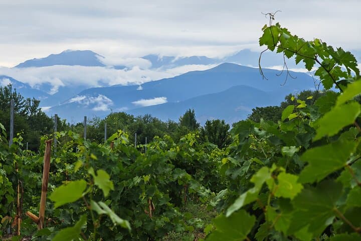 Sheki Sparkling Wine Weekend: Winery Visits, Khan's Palace & Local Flavors photo 2