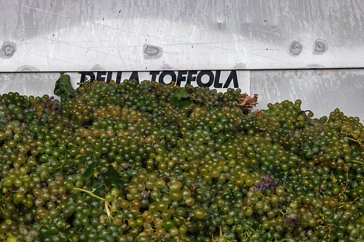 Sheki Sparkling Wine Weekend: Winery Visits, Khan's Palace & Local Flavors photo 3