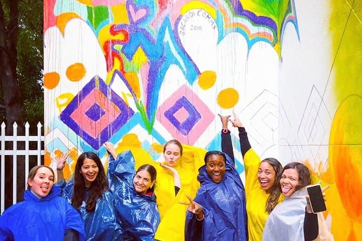 Paint a Wynwood Mural: Hands-On Street Art Workshop in Miami photo 4