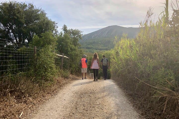 Private Hiking Adventure to Arrábida Mountain Summit — 360° Views & Mediterranean Forest photo 4