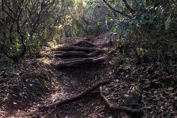 Private Hiking Adventure to Arrábida Mountain Summit — 360° Views & Mediterranean Forest photo 5