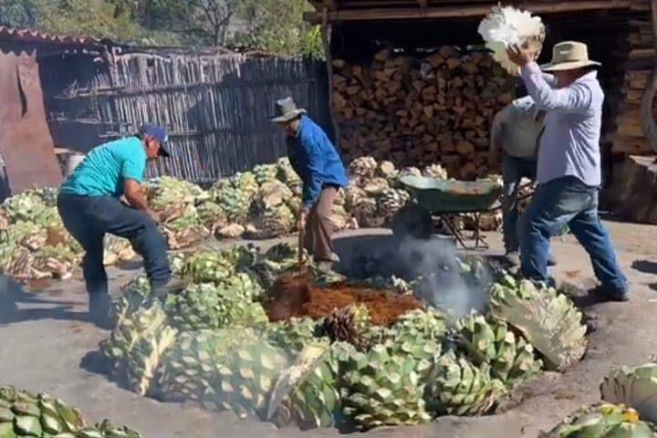 Mezcal Tour in Oaxaca: Agave Fields, Family Distilleries & Tasting photo 3